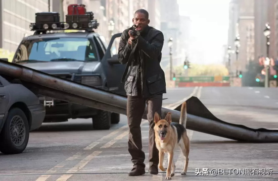 威尔史密斯主演的电影有哪些(盘点威尔·史密斯出演的8部经典电影)