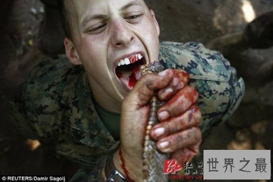 全球十大最疯狂的军事训练，美国海军生喝蛇血