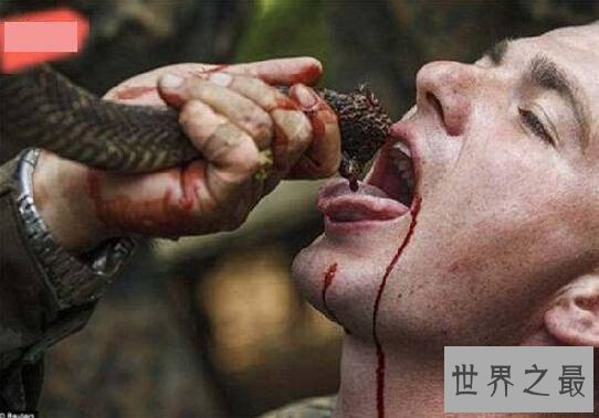 全球十大最疯狂的军事训练，美国海军生喝蛇血