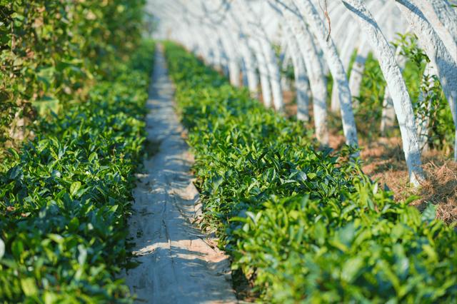 私藏济南自驾游超好玩线路,每一公里都美到极致!-