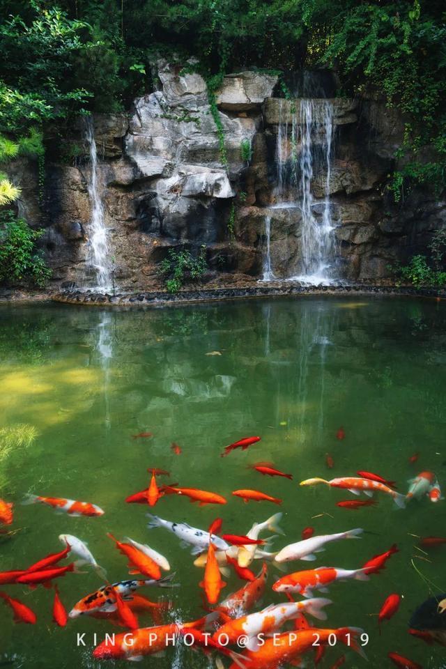 私藏济南自驾游超好玩线路,每一公里都美到极致!-