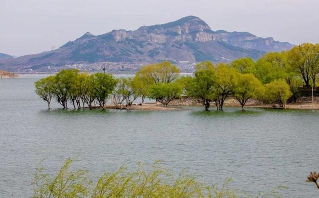 私藏济南自驾游超好玩线路,每一公里都美到极致!-