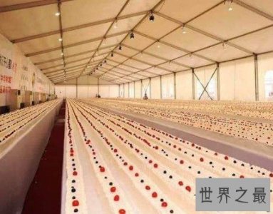 ​世界上最长蛋糕，长500米重14.5吨