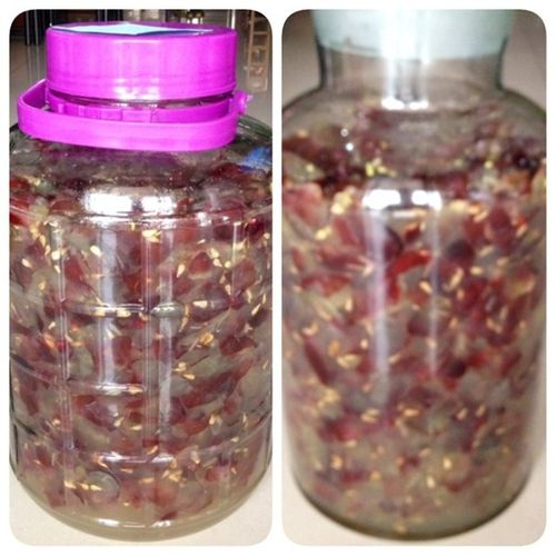 自做葡萄酒糖放多少钱一斤