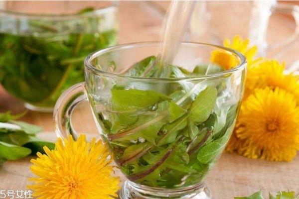 蒲公英泡水喝的功效 经常喝蒲公英的五大好处 蒲公英泡水喝的功效 经常喝蒲公英的五大好处