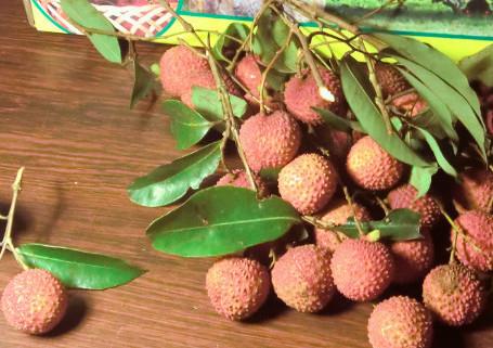 增城荔枝什么时候成熟?增城的荔枝品种有哪些? 增城荔枝什么时候成熟?增城的荔枝品种有哪些?