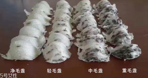 燕窝毛怎么挑 化学除毛和刷胶挂浆有害健康 燕窝毛怎么挑 化学除毛和刷胶挂浆有害健康
