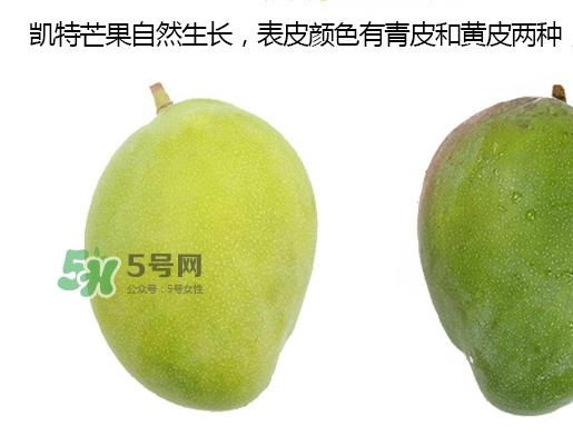 凯特芒果的营养价值 凯特芒果的功效与禁忌 凯特芒果的营养价值 凯特芒果的功效与禁忌