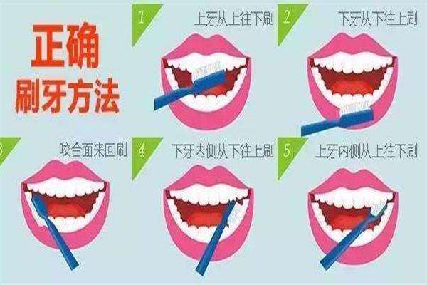 睡前不刷牙的危害是什么 刷牙的重要性 睡前不刷牙的危害是什么 刷牙的重要性