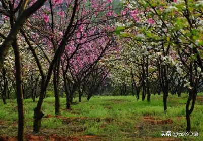 ​触景生情的诗句赏析（三首触景生情的佳作）