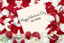 情人节送白玫瑰什么意思?收到白玫瑰有什么含义? 情人节送白玫瑰什么意思?收到白玫瑰有什么含义?