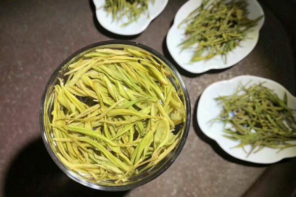 安吉白茶的功效 安吉白茶是绿色还是白茶 安吉白茶的功效 安吉白茶是绿色还是白茶