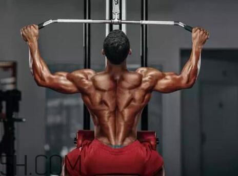 高位下拉能代替引体向上吗?高位下拉和引体向上的区别 高位下拉能代替引体向上吗?高位下拉和引体向上的区别