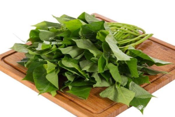 红薯叶一般是几月上市呢 红薯叶有什么食用禁忌吗