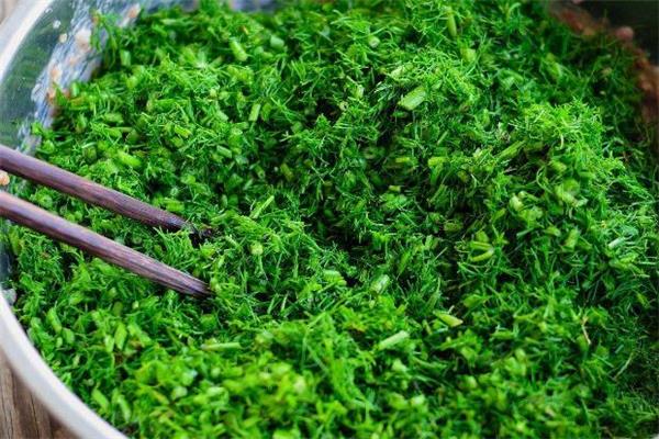 茴香为什么要用淡盐水泡 洗茴香不用盐水行吗 茴香为什么要用淡盐水泡 洗茴香不用盐水行吗