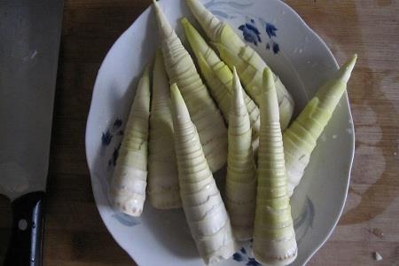 糖尿病人可不可以吃春笋?糖尿病吃春笋好处有哪些? 糖尿病人可不可以吃春笋?糖尿病吃春笋好处有哪些?