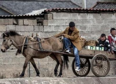 ​古代马车是如何兴起的 马车最后为什么没落了
