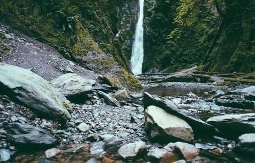 网络图片(侵删)