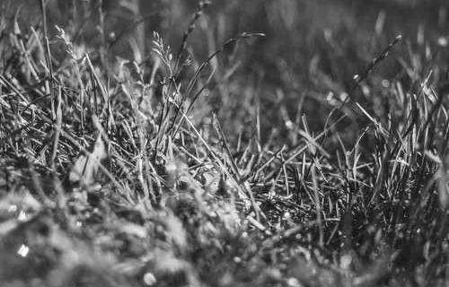 网络图片(侵删)