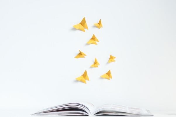 探秘蝴蝶是由什么变出来的 2