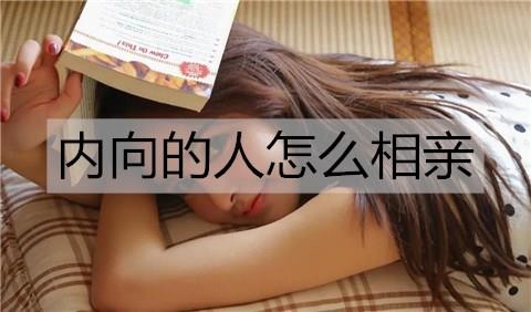 内向的人怎么相亲2
