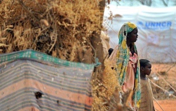 探秘世界上最大难民营 达达布由4个难民营组成(生活质量差)  3