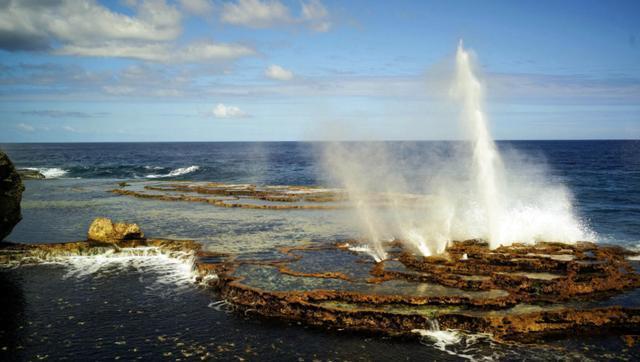 此国对中国免签，男人不穿裤子，女人胖才美，总想中国免了百亿债