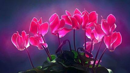 女人沉默背后意味着什么?