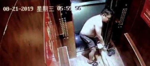 歌手郝云老婆曝被家暴和出轨,娱乐圈家暴再起风云,为何家暴不断