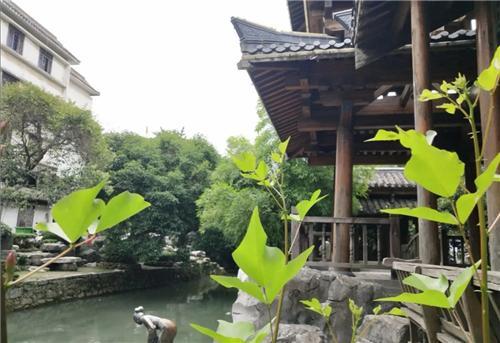 走遍广西兴安——徜徉在历史与文化的脉络中