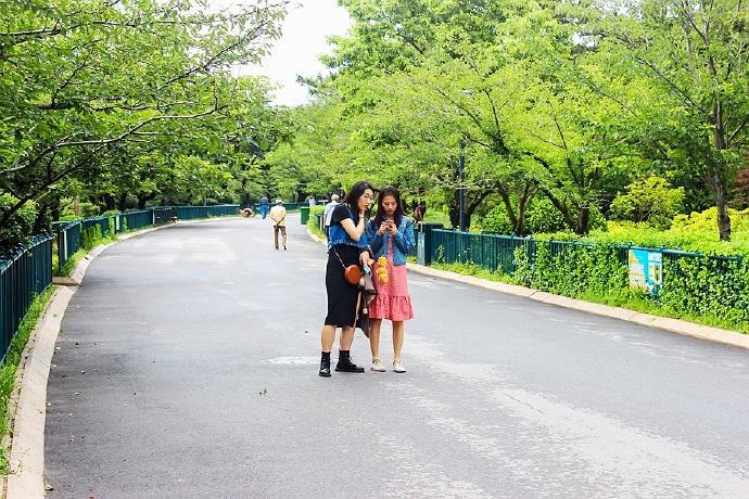 青岛中山公园,拥有百年历史的一个公园,承载了太多青岛人的记忆