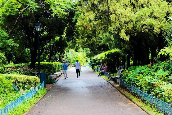 青岛中山公园,拥有百年历史的一个公园,承载了太多青岛人的记忆