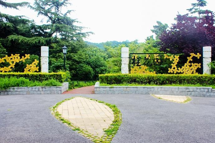 青岛中山公园,拥有百年历史的一个公园,承载了太多青岛人的记忆