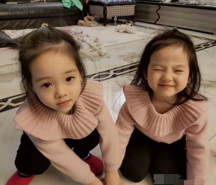 杨云晒孩子日常走红,双胞胎女儿越长越漂亮,一个像爸一个像妈!