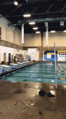 跳水失误合集,你们是想笑死我好继承我的蚂蚁花呗吗!