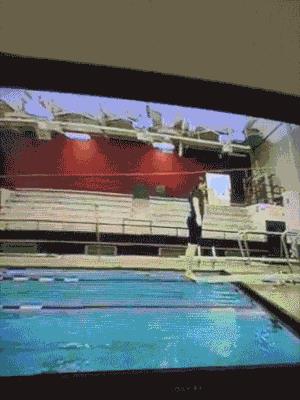 跳水失误合集,你们是想笑死我好继承我的蚂蚁花呗吗!