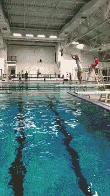 跳水失误合集,你们是想笑死我好继承我的蚂蚁花呗吗!