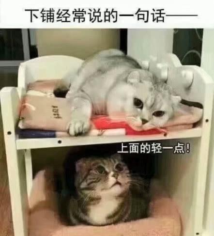 这些“沙雕图”看了之后能让人说“真实”,张张绝妙!