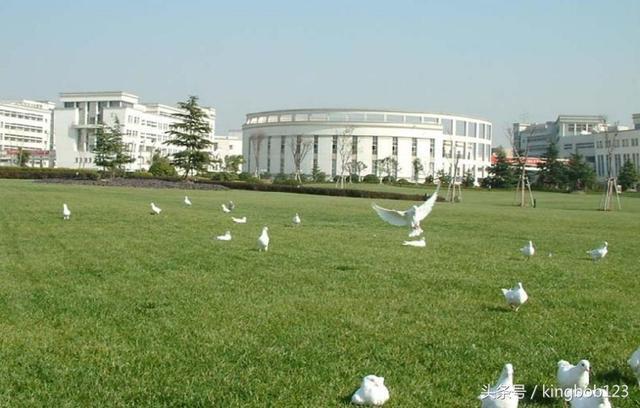 你见过这样的上海大学吗？看过之后你肯定后悔没有选择去这上学！