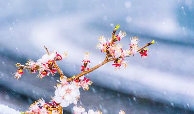 三大生肖,19年“贵子入命”,先添丁再添财,日子春暖花开!