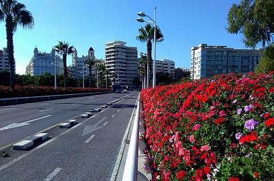 三大生肖,19年“贵子入命”,先添丁再添财,日子春暖花开!
