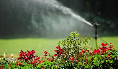 三大生肖,19年“贵子入命”,先添丁再添财,日子春暖花开!