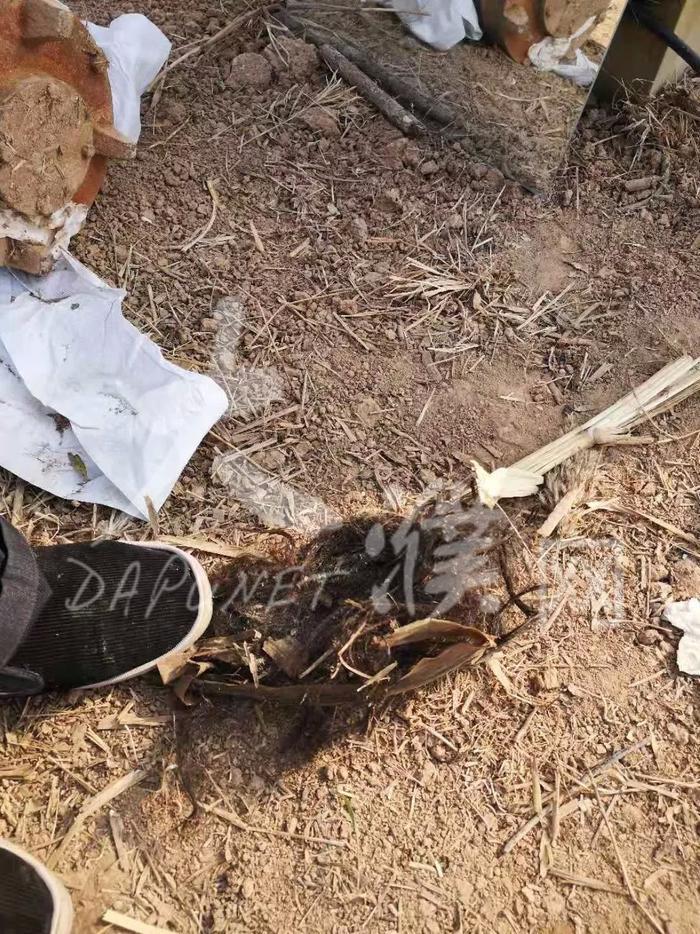 濮阳这个水井里打捞出一具女尸，死者仅穿内衣！