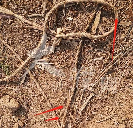 濮阳这个水井里打捞出一具女尸，死者仅穿内衣！