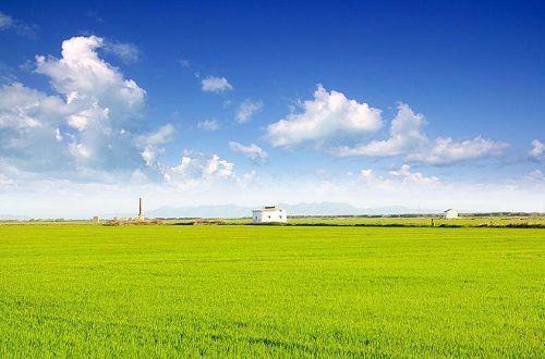 生活细语:童话说雨后会有一道彩虹却不曾说过它也会转瞬成空