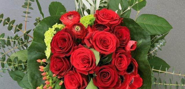 生活细语:童话说雨后会有一道彩虹却不曾说过它也会转瞬成空