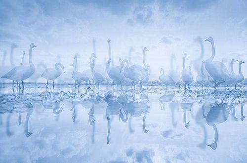 生活细语:童话说雨后会有一道彩虹却不曾说过它也会转瞬成空