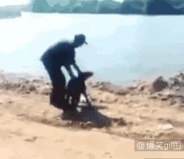 大王爆笑gif趣图：马化腾坐公交车刷的是Q币么