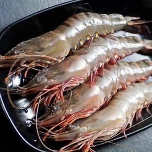 青岛大虾这样做非常好吃,来一只