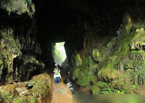 湖南一山洞发现一条“真龙”，存在上亿年，无人敢靠近！